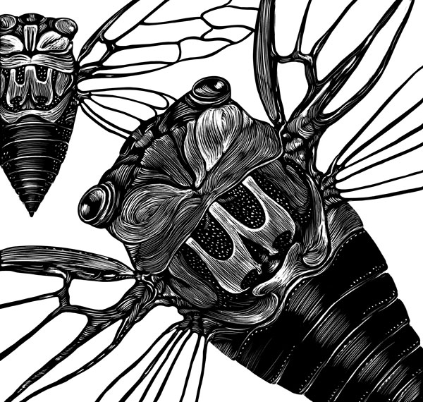 Black and white June 2019 Cicada silk screened calendar page for Southern Arts Society fund raising calendar.